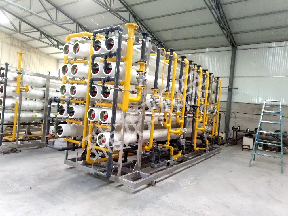 瑞龍環保工業純水案例—定制反滲透機組